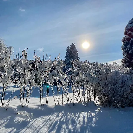 Le Hygge Gerardmer-spa شاليه Anould