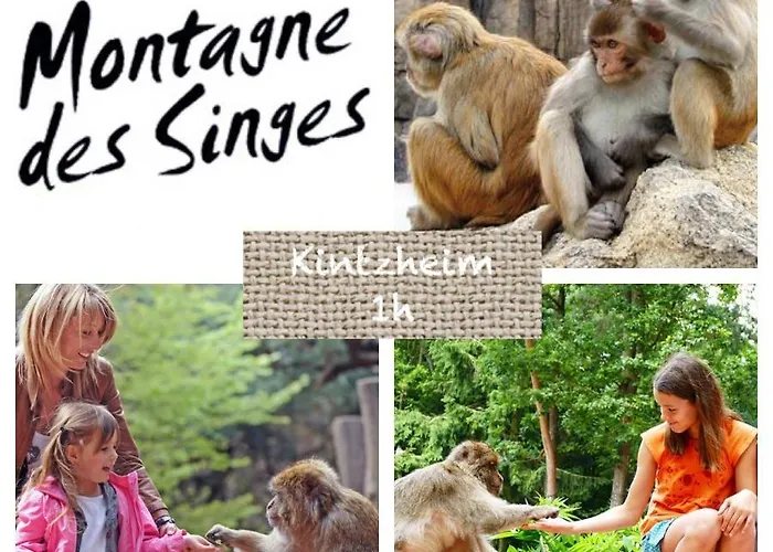 Le Hygge Gérardmer-spa Chalet