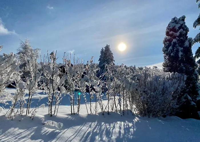 Le Hygge Gerardmer-spa Шале Anould